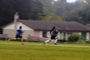 OTFL Gallery Image